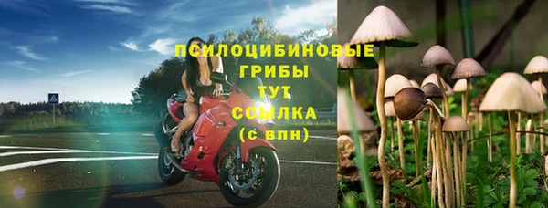 ПСИЛОЦИБИНОВЫЕ ГРИБЫ Зеленокумск